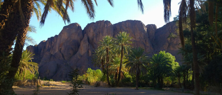 anke-richter-soins-energetiques-palmiers-rochers