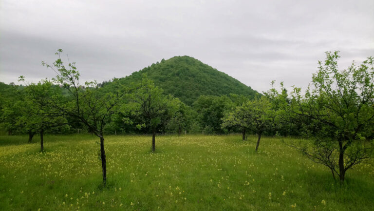 anke-richter-soins-energetiques-tertre